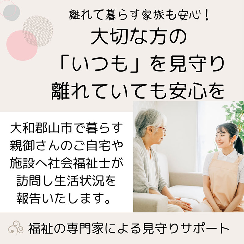 【親孝行は、ふるさと納税で】　ふるさとへ贈る安心　社会福祉士による見守り訪問サービスチケット　見守り 訪問 サービス 3か月分 月1回 報告 安心 福祉 支援 サポート 代行 親孝行　社会福祉士