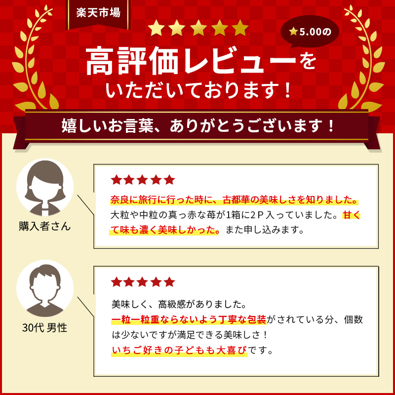 【2回定期便】いちご 完熟 古都華 約540g(270g× 2パック ) 2026年1月出荷開始 先行予約 奈良 ブランド イチゴ フルーツ