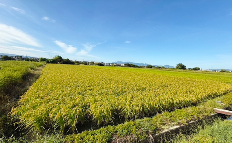 奈良県産ひのひかり 精米 5kg　お米 白米 ごはん ヒノヒカリ 奈良県 大和郡山市
