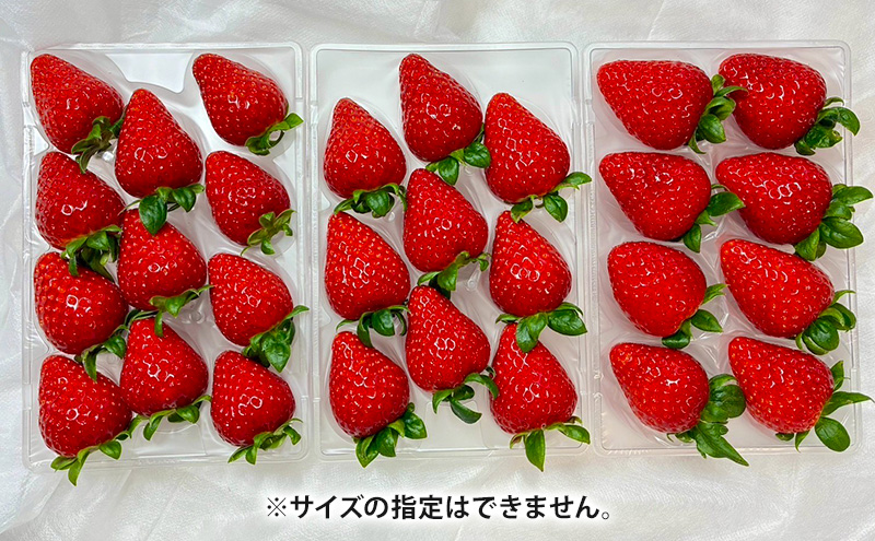 いちご　古都華　2パック 金賞受賞 フルーツ 果物 旬 産地直送 デザート ことか イチゴ 苺 冷蔵 奈良 大和郡山　北村農園