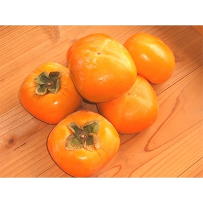 【R8年10月以降発送】刀根早生柿発祥の地・天理市のひらたねなし柿(L～3Lサイズ、28～36個)【配送不可地域：離島】