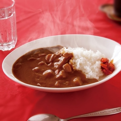 天理カレー　辛口　10個セット