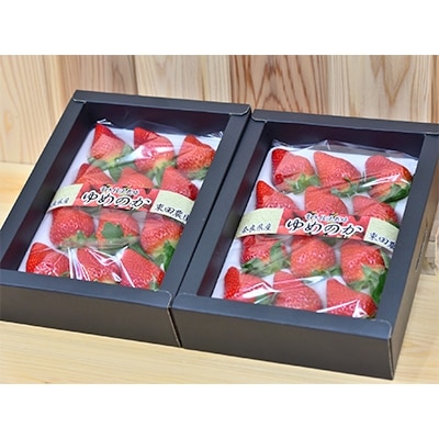 【2026年1月以降順次発送予定】電子技法栽培「苺」ゆめのか【約430g×2トレー】【配送不可地域：離島】