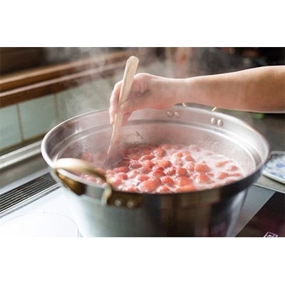 無添加フルーツジャム詰め合わせ12個セット