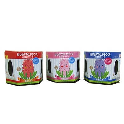 はじめてのヒヤシンス栽培セット3種