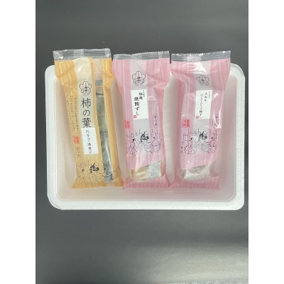 冷凍　柿の葉ずし2種(穴子・海老)と2種棒ずし詰合せ【配送不可地域：離島】