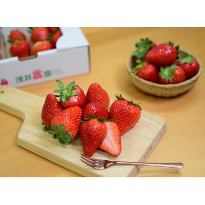 〈農家直送〉奈良県産ブランドいちご【古都華(ことか)】2パック【配送不可地域：離島・北海道・沖縄県】