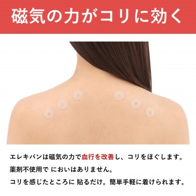 ピップエレキバン　130mT24粒 2個セット【配送不可地域：沖縄県】