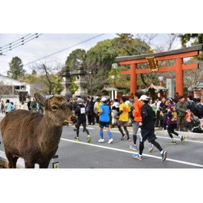 奈良マラソン2025出走権(マラソン種目)1人分