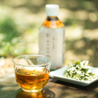 【奈良県天理市】有機JAS認証  国産　柿の葉茶　350ml×24本