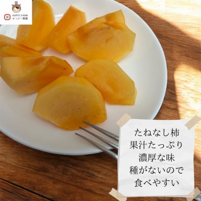 【令和8年10月より順次発送】たねなし柿L～2Lサイズ(16～18個入り)【配送不可地域：離島】