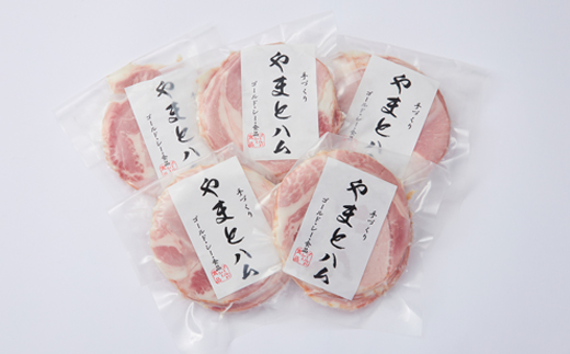 ゴールド・シー食品やまとハム切り落としセット(100g×5パック)【配送不可地域：離島】