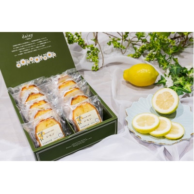 レモンケーキ　10個入り【配送不可地域：離島】