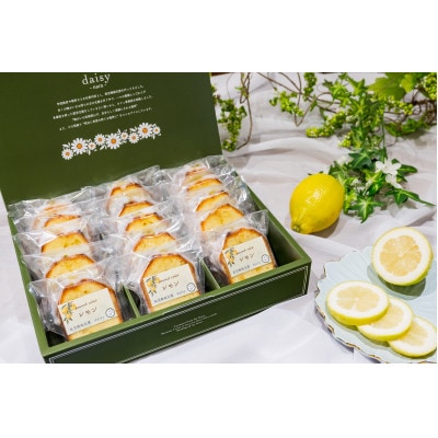 レモンケーキ　15個入り【配送不可地域：離島】