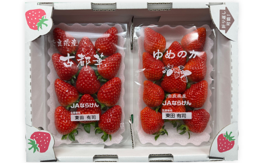【2026年1月順次発送】奈良県産いちご「古都華」と「ゆめのか」の食べくらべ　合計2パック【配送不可地域：離島】