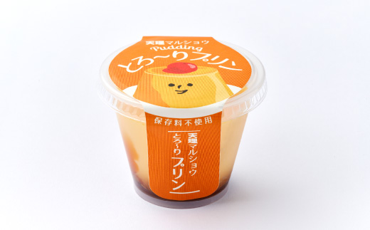 天理マルショウ とろ～りプリン　9個入【配送不可地域：離島】