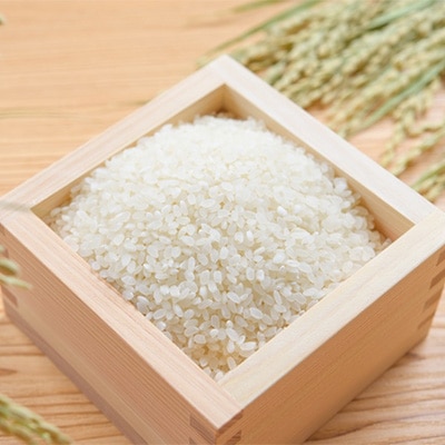 2023年5月発送開始『定期便』ひのひかり精米5kg【令和4年産】(一等米)全4回