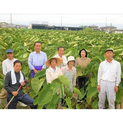 大和ひみこ味噌(1kg×2)