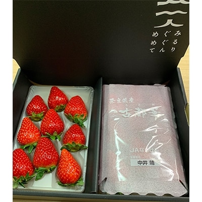 奈良で生まれた艶やかないちご　古都華　2パック【配送不可地域：離島】
