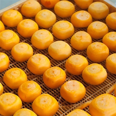 〈R7年11月以降発送〉刀根早生柿発祥の地天理市のあんぽ柿・柿チップセット