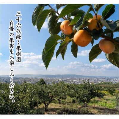 【R7年10月中下旬～11月の発送】種なし柿　2L～L　9個～11個【配送不可地域：離島】