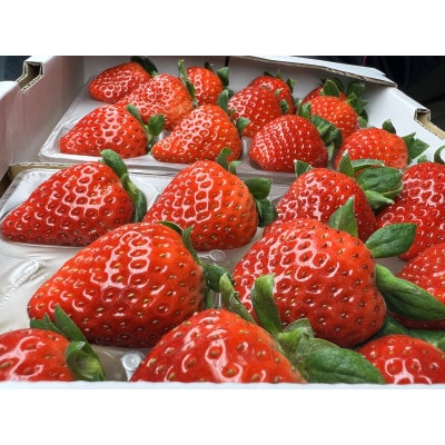 〈農家直送〉奈良県産いちご新品種【奈乃華(なのか)】2パック【配送不可地域：離島・北海道・沖縄県】