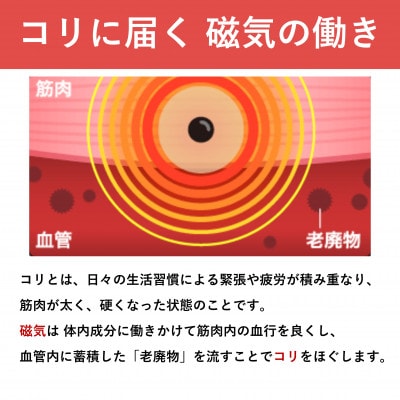 ピップエレキバン　200mT24粒 2個セット【配送不可地域：沖縄県】