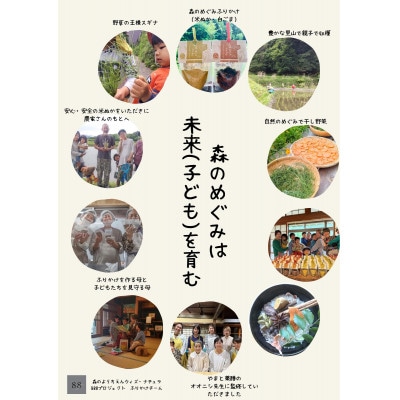 森のめぐみふりかけ　白ごま(梅・醤油風味)