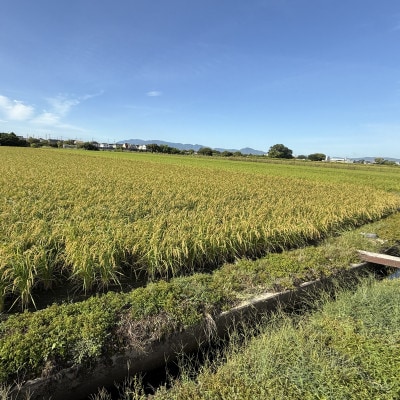 奈良県産ヒノヒカリ 精米 10kg