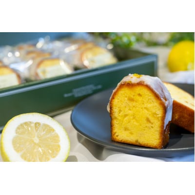 レモンケーキ　10個入り【配送不可地域：離島】