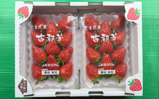 【2025年12月下旬順次発送】奈良県産いちご「古都華」2パック【配送不可地域：離島】