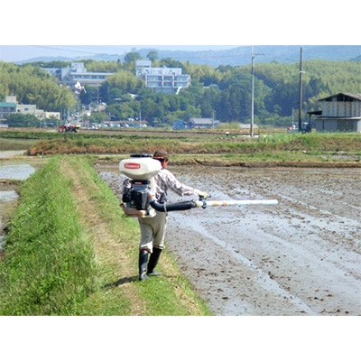 2023年6月発送開始『定期便』ひのひかり精米10kg【令和4年産】(一等米)全4回