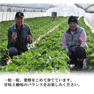 古都に咲く真っ赤な華いちご「古都華」(270g以上/5L～4Lサイズ/6～8粒)×2P　化粧箱入り【配送不可地域：離島】