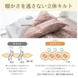 羽毛布団　上質羽毛掛け布団ダウンパワー400(WDD93%1.2kg)　シングル(赤) 赤