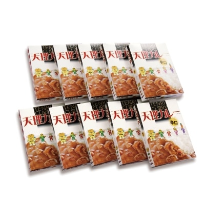 天理カレー　辛口　10個セット