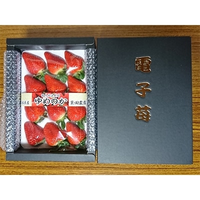 【2026年1月以降順次発送予定】電子技法栽培「苺」ゆめのか【約430g×2トレー】【配送不可地域：離島】