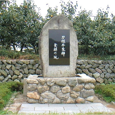 〈R7年11月以降発送〉刀根早生柿発祥の地天理市のあんぽ柿2箱セット(12～16個入り)