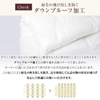 抜群のあたたかさ上質羽毛掛布団ダウン93%DP400　1.9kg入りダブルオフ白