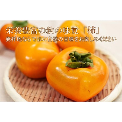 【R8年10月以降発送】刀根早生柿発祥の地より「たねなし柿」L～2L(32～36玉)【優品】ご家庭用【配送不可地域：離島】 優品