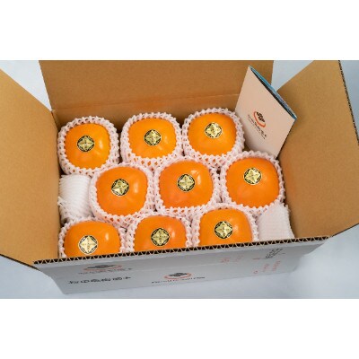 【R7年10月中下旬～11月の発送】種なし柿　2L～L　9個～11個【配送不可地域：離島】