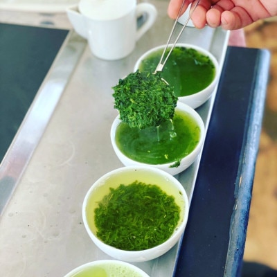 大和茶・宇治煎茶・宇治玉露セット