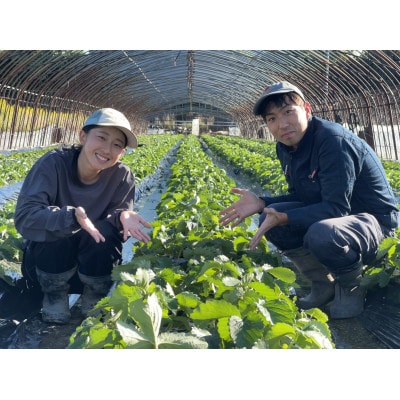 〈農家直送〉奈良県産いちご新品種【奈乃華(なのか)】2パック【配送不可地域：離島・北海道・沖縄県】