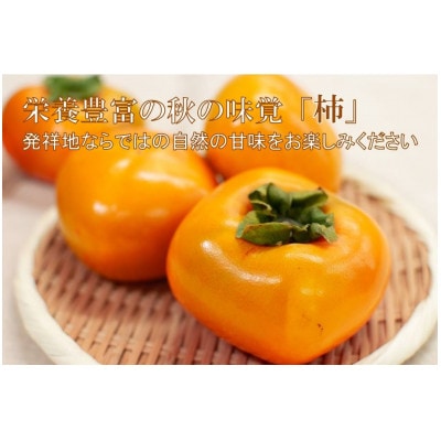 【R8年10月以降発送】刀根早生柿発祥の地※より「たねなし柿」L~2L(1段箱16～18玉)【配送不可地域：離島】 1段箱