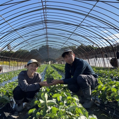 〈農家直送〉奈良県産いちご贅沢食べ比べセット【古都華(ことか)＆奈乃華(なのか)】(各1パック)【配送不可地域：離島・北海道・沖縄県】