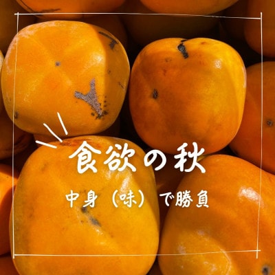訳あり【令和7年10月より順次発送】たねなし柿L～2Lサイズ(16～18個入り)【配送不可地域：離島】