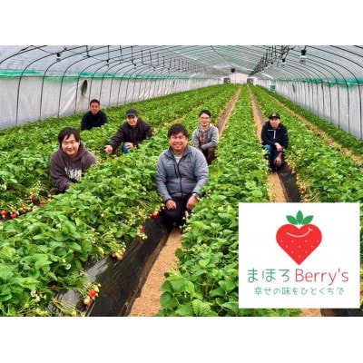 奈良県産いちごの食べ比べセット【配送不可地域：離島・北海道・沖縄県・東北】