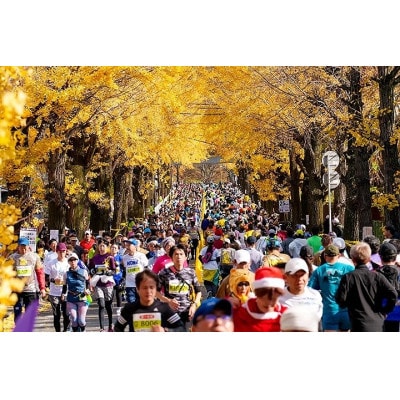 奈良マラソン2025出走権(マラソン種目)1人分