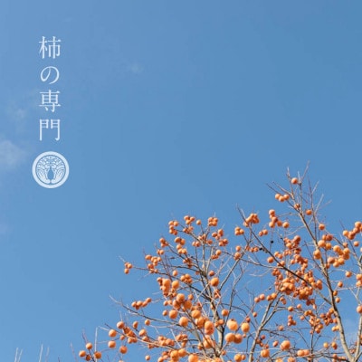 【奈良県天理市】有機JAS認証  国産　柿の葉茶　350ml×24本