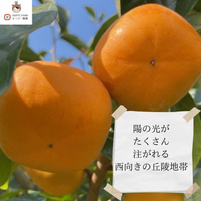 【令和8年10月より順次発送】たねなし柿L～2Lサイズ(16～18個入り)【配送不可地域：離島】