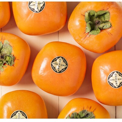 【R8年10月中下旬～11月の発送】種なし柿　2L～M　9個～12個【配送不可地域：離島】